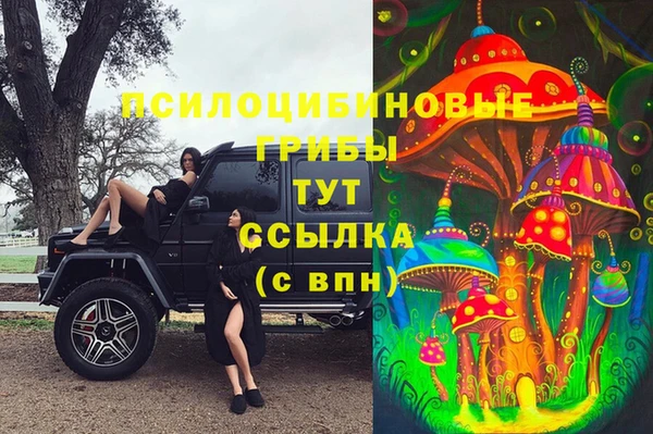 PSILOCYBIN Волоколамск