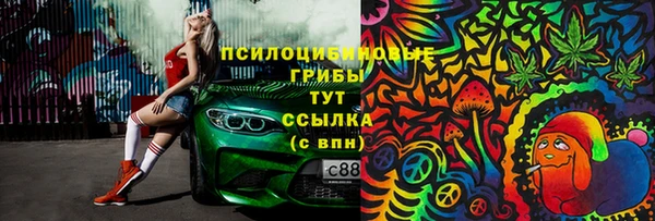 PSILOCYBIN Волоколамск