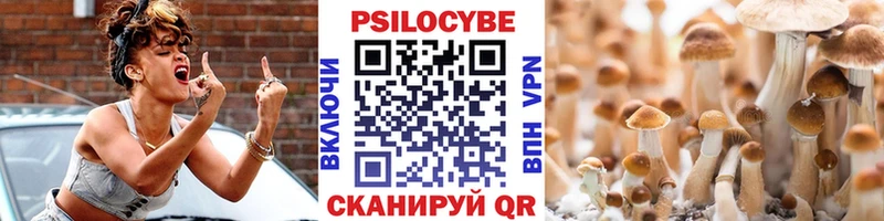 Псилоцибиновые грибы Cubensis Славянск-на-Кубани